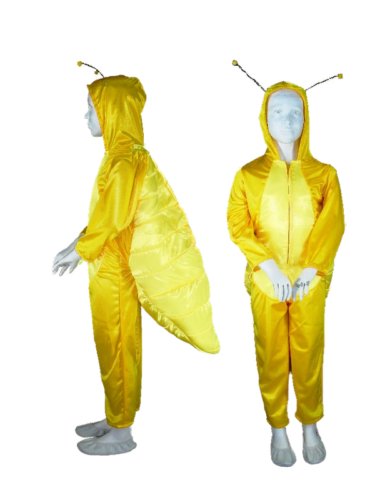 Disfraz Cuncuna