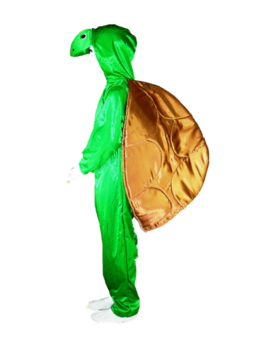 Disfraz Tortuga